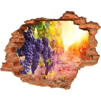 Fototapeta Samolepící nálepka beton Vinná réva