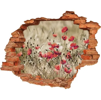 Fototapeta Samolepící díra nálepka beton Máky