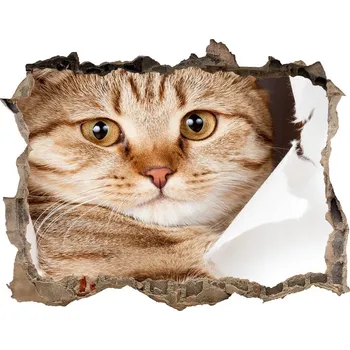 Fototapeta Díra 3D fototapeta na stěnu nálepka Kočka