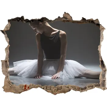 Fototapeta Fototapeta díra na zeď Baletka