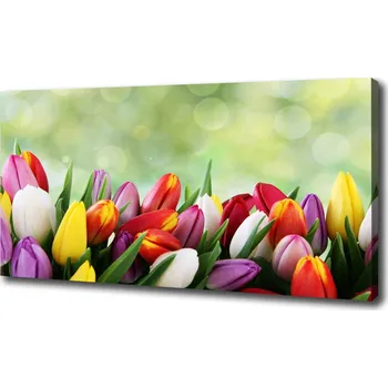 Obraz Moderní obraz canvas na rámu Barevné tulipány