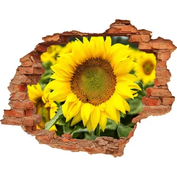 Fototapeta Samolepící díra nálepka Pole slunečníků