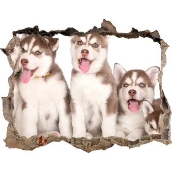 Fototapeta Díra 3D fototapeta nálepka Štěně Husky