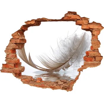 Fototapeta Díra 3D fototapeta na stěnu Pírko na vodě