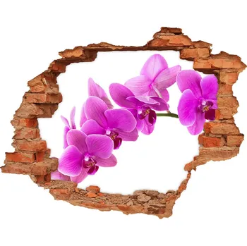 Fototapeta Samolepící díra nálepka Růžová orchidej