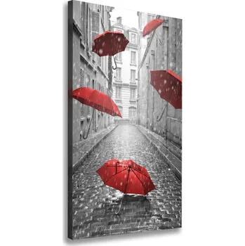 Obraz Vertikální Foto obraz na plátně Deštník Francie