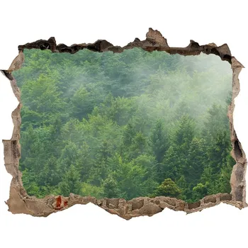 Fototapeta Samolepící díra nálepka Tajemný les