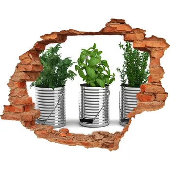 Fototapeta Samolepící nálepka Aromatické rostliny