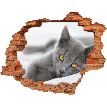 Fototapeta Díra 3D fototapeta nálepka Šedá kočka