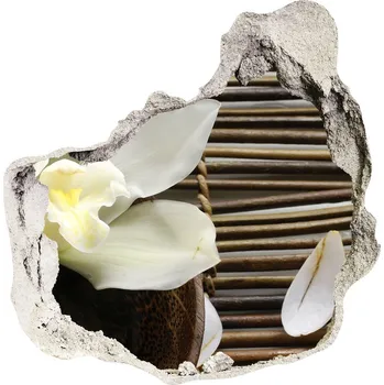 Fototapeta Fototapeta nálepka na zeď Fototapeta orchidej