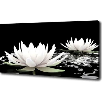 Obraz Moderní obraz canvas na rámu Vodní lilie