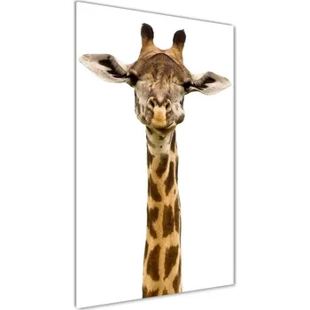 Obraz Foto obraz akrylové sklo vertikální Žirafa