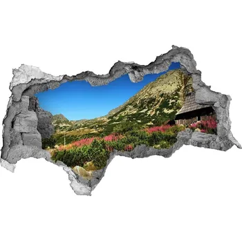 Fototapeta Nálepka fototapeta 3D Chata v údolí