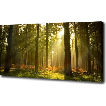 Obraz Foto obraz na plátně Les slunce