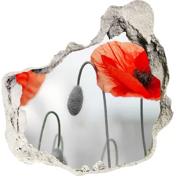 Fototapeta Samolepící nálepka na zeď fototapeta Máky