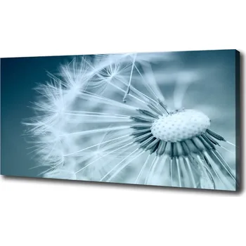 Obraz Foto obraz na plátně Pampeliška
