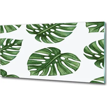 Obraz Foto obraz skleněný horizontální Monstera