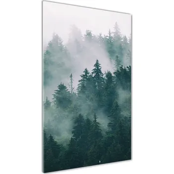 Obraz Vertikální Foto obraz fotografie na skle Mlha nad lesem