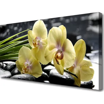 Obraz Obraz na plátně Květiny Rostlina Příroda 120x60 cm