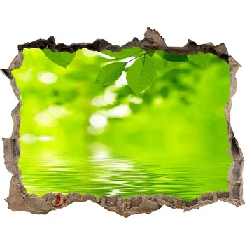 Fototapeta Samolepící nálepka na zeď Zelené listí