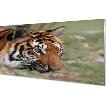 Obraz Obraz na skle Tiger Woods 125x50 cm 2 Přívěsky