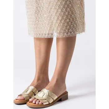 Dámské pantofle Wonders dámské pantofle na nízkém podpatku Alina B-9602 zlaté Velikost: 36