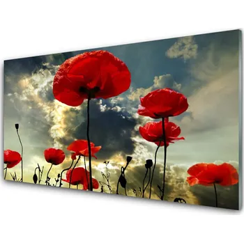 Obraz Obraz na skle Máky Květiny Příroda 120x60 cm 2 Přívěsky