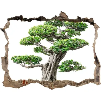 Fototapeta Samolepící díra na stěnu Strom bonsaj