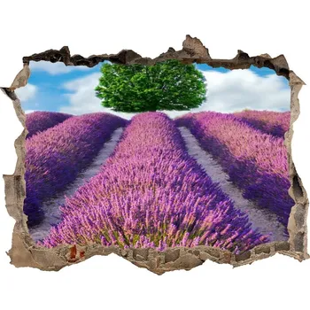Fototapeta Nálepka fototapeta 3D na zeď Pole levandule
