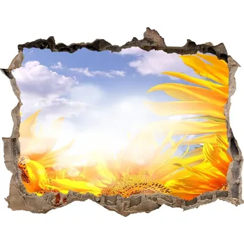 Fototapeta Samolepící díra nálepka Slunečníky