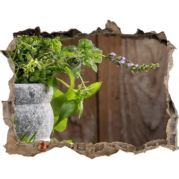 Fototapeta Nálepka 3D díra na zeď Bylinky hmoždíř