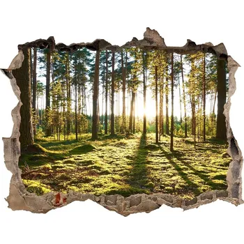 Fototapeta Nálepka fototapeta 3D na zeď Sosnový les