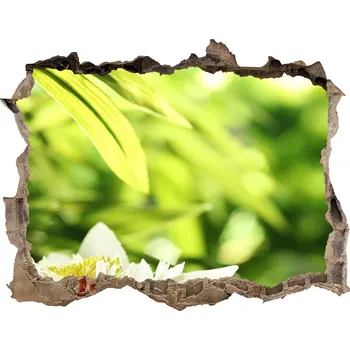 Fototapeta Samolepící díra na stěnu Vodní lilie