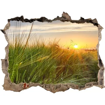 Fototapeta Nálepka fototapeta 3D výhled Pole pšenice