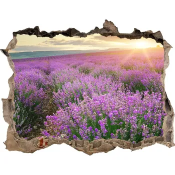 Fototapeta Nálepka fototapeta 3D výhled Pole levandule