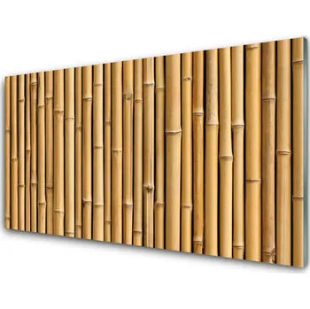 Obraz Obraz na skle Bambus Rostlina Příroda 100x50 cm 2 Přívěsky