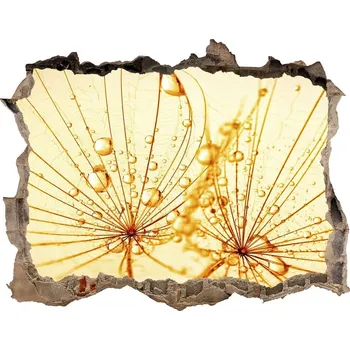 Fototapeta Díra 3D fototapeta nálepka Semena pampelišky