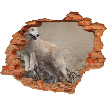 Fototapeta Díra 3D fototapeta na stěnu Bílý vlk na skále