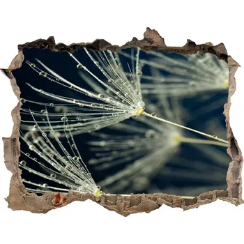 Fototapeta Samolepící díra nálepka Semena pampelišky