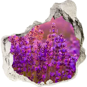 Fototapeta Samolepící díra nálepka Pole levandule