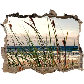 Fototapeta Díra 3D ve zdi nálepka Mořské duny