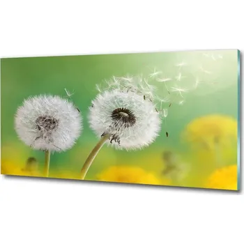 Obraz Fotoobraz na skle Pampelišky