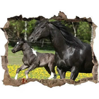 Fototapeta Díra 3D fototapeta Kobyla s hříbětem