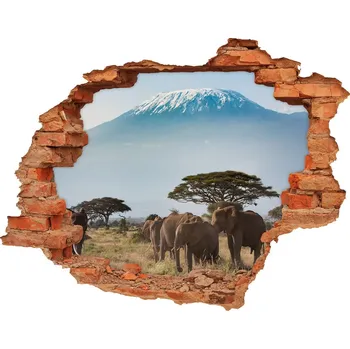 Fototapeta Díra 3D fototapeta Sloni Kilimandžáro