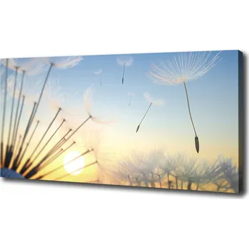 Obraz Foto obraz na plátně Semeno pampelišky