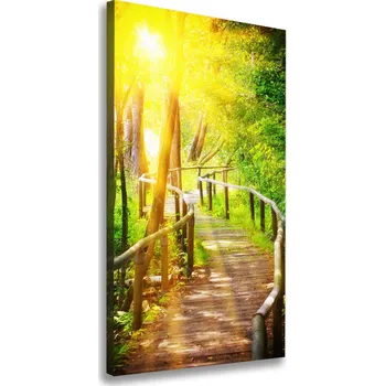 Obraz Vertikální Foto obraz na plátně Stezka v lese