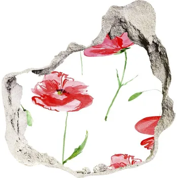 Fototapeta Nálepka 3D díra na zeď samolepící Máky