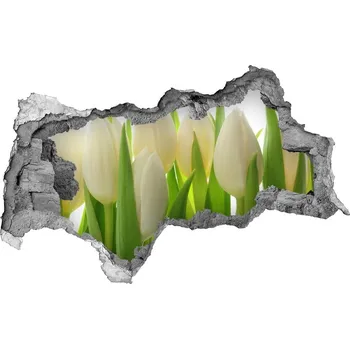 Fototapeta Samolepící nálepka fototapeta Tulipány