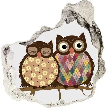 Fototapeta Díra 3D fototapeta Dvě sovy na větvi