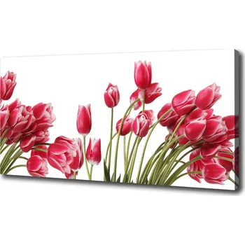 Obraz Foto obraz na plátně Červené tulipány